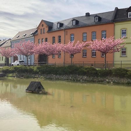 Pension Und Ferienwohnung Am Teich Шлайц Екстериор снимка