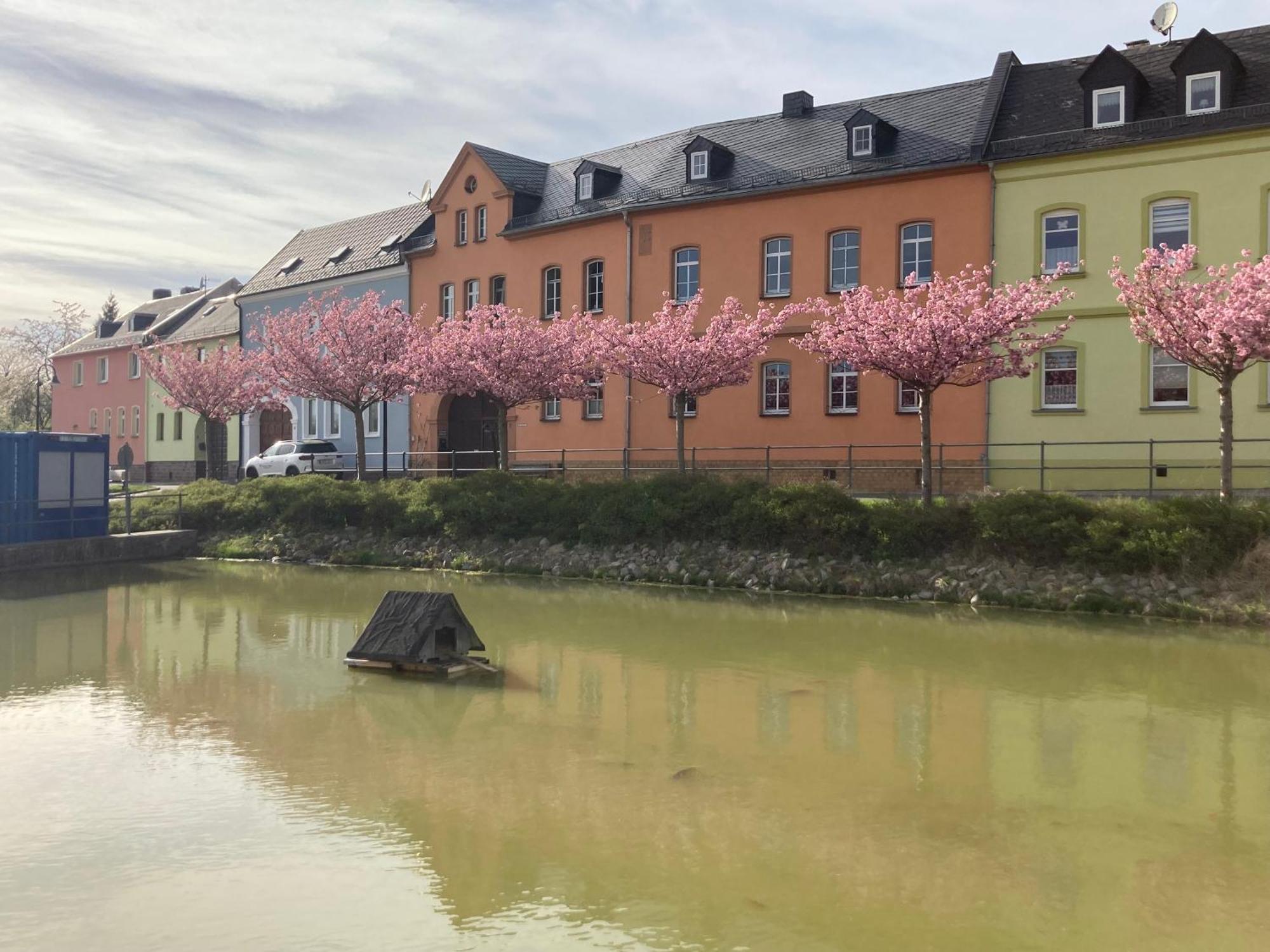 Pension Und Ferienwohnung Am Teich Шлайц Екстериор снимка