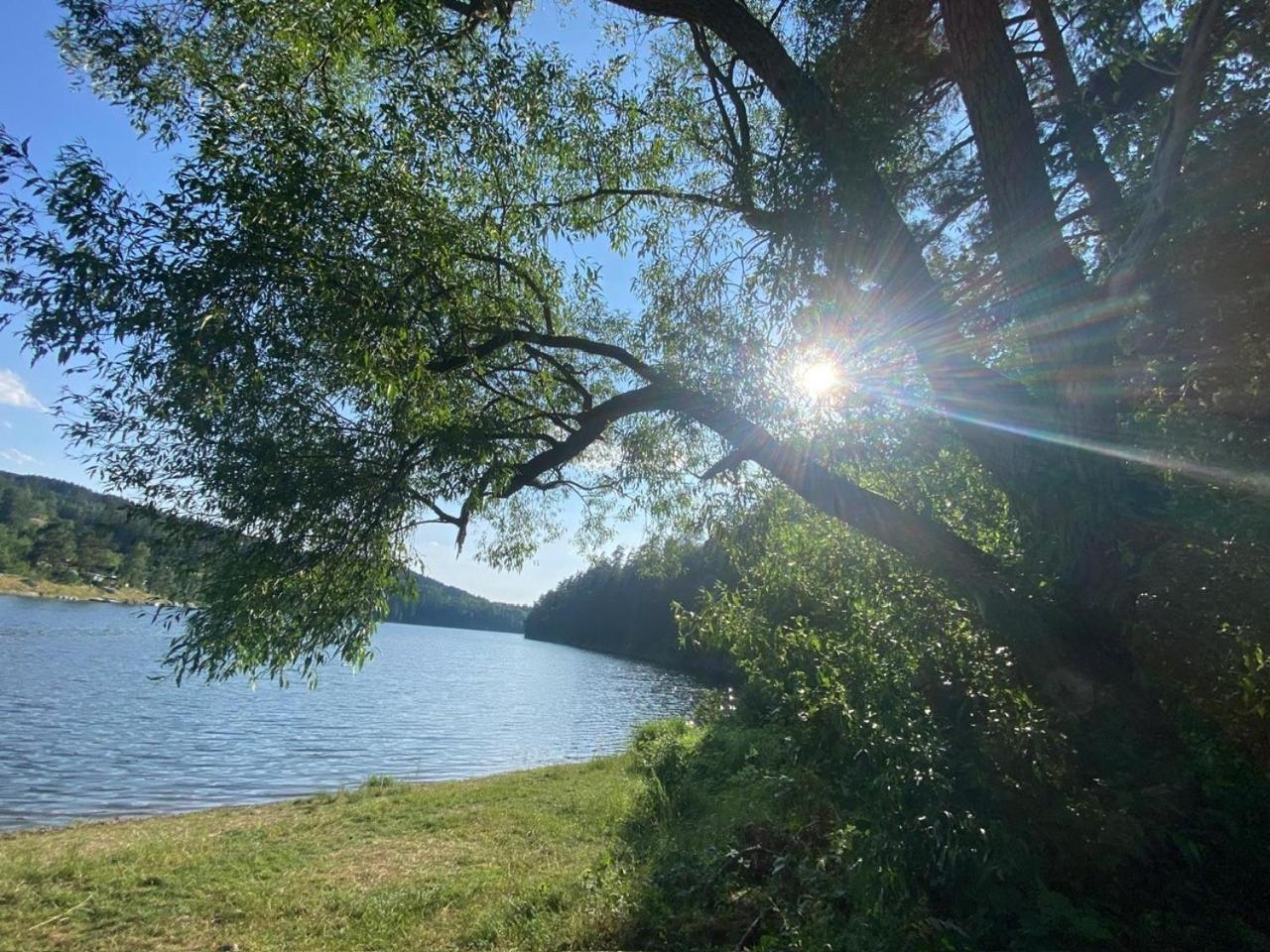 Pension Und Ferienwohnung Am Teich Шлайц Екстериор снимка