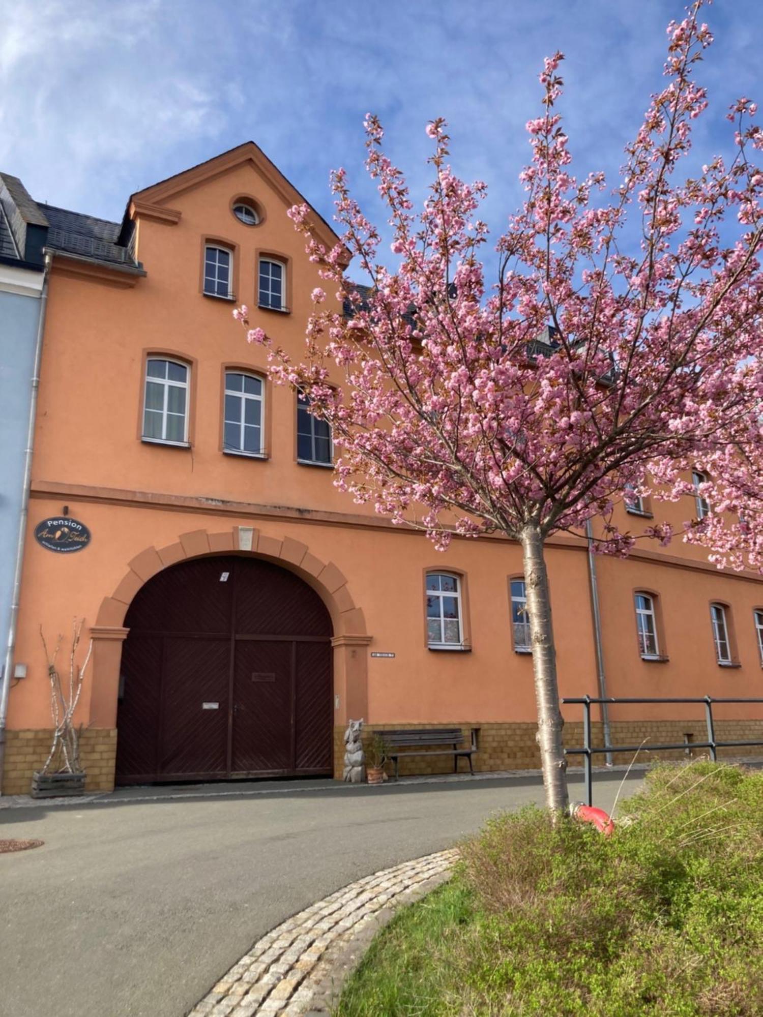 Pension Und Ferienwohnung Am Teich Шлайц Екстериор снимка