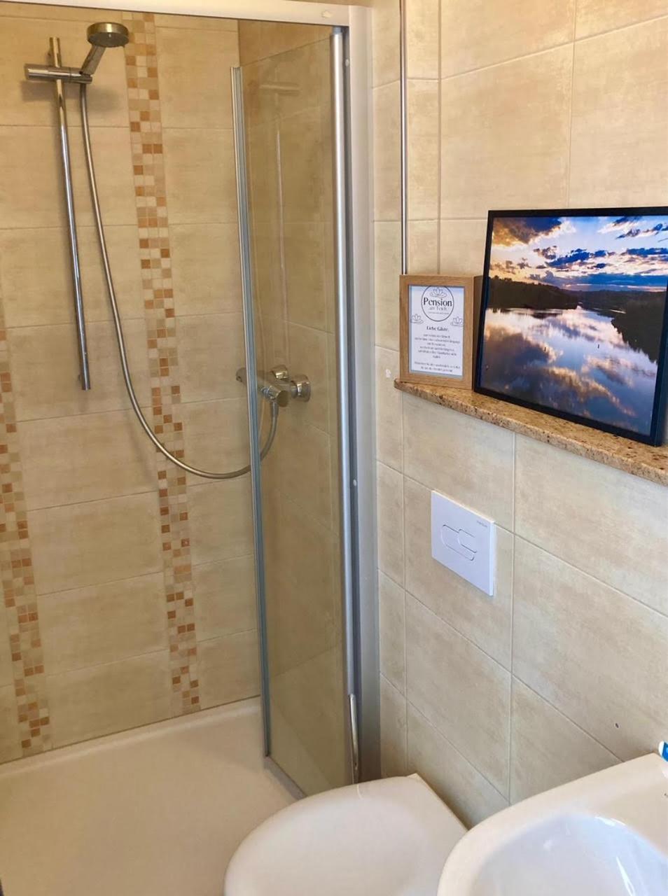 Pension Und Ferienwohnung Am Teich Шлайц Екстериор снимка